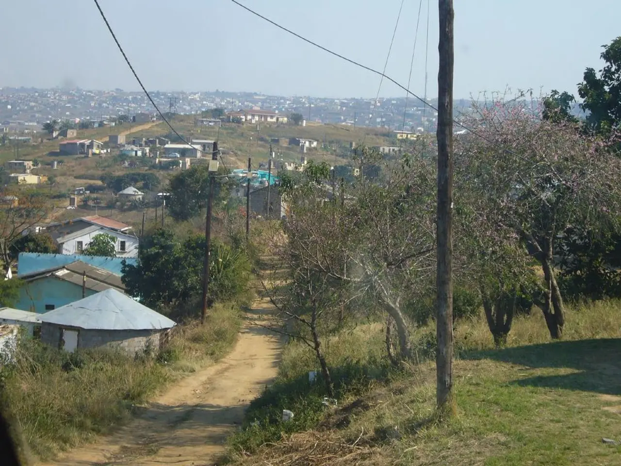 In the picture I can see a way and there is greenery ground and trees on either sides of it and...