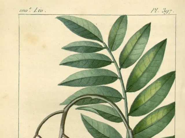 Twenty Engaging Autumnal Scientific Explorations