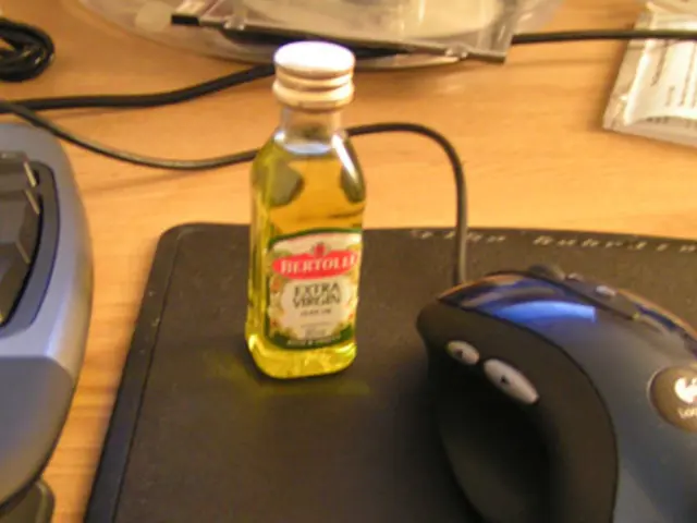 Enhance Your Basic Word Knowledge using Starter Flashcards