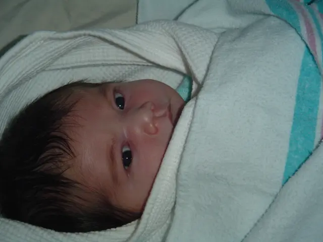 Ensuring Emotional Well-being in Regular Daycare Settings