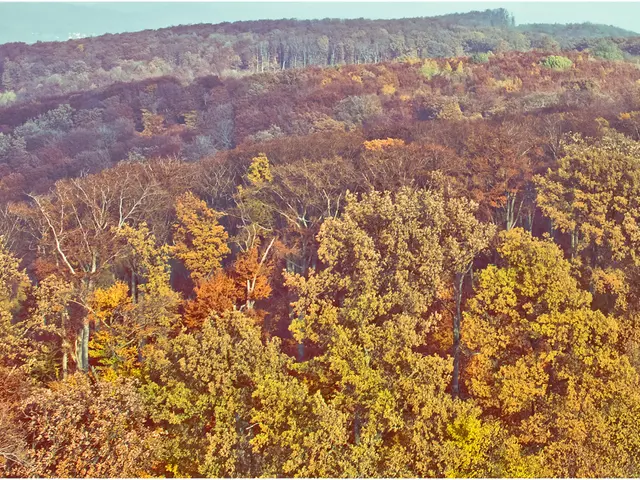 Stellantis partners up for tree planting and ecological workshops in Wojkowice, scheduled for April...