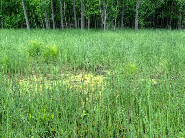 Setting objectives for an Agricultural Enterprise