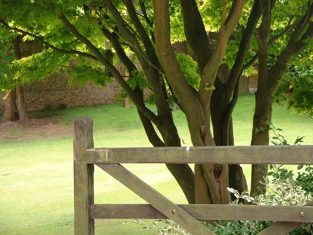 Strategies for Establishing an Eco-Friendly Work Environment