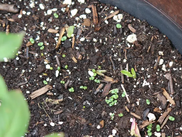 Timeline of Heritage Scientist: Thomas William Walker