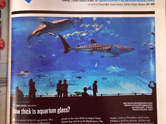 UCLA Professor of Ethnomusicology Appointed to Bakë-Jairazbhoy Chair for Indian Ocean Studies