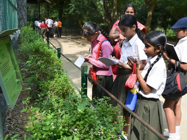 Ketchup and Gurgle Resolve Their Disagreement