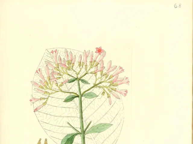 Naturally Occurring Patterns and Patterns Found in the World of Nature