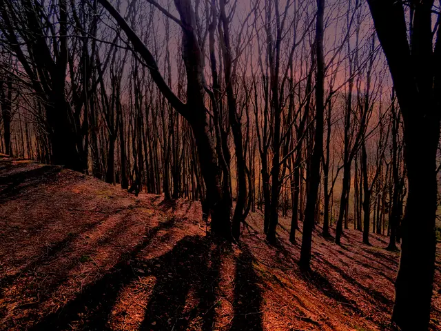 Organizing timelines for tidiness, adopting minute habits, and understanding your clutter...