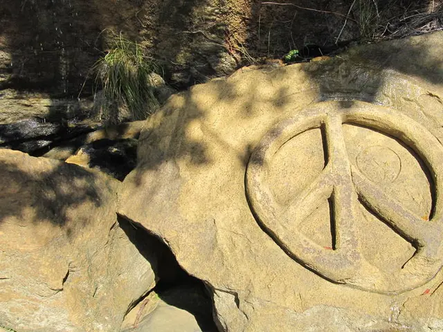 Five comprehensive training programs designed to transform you into an expert in manipulating one's...