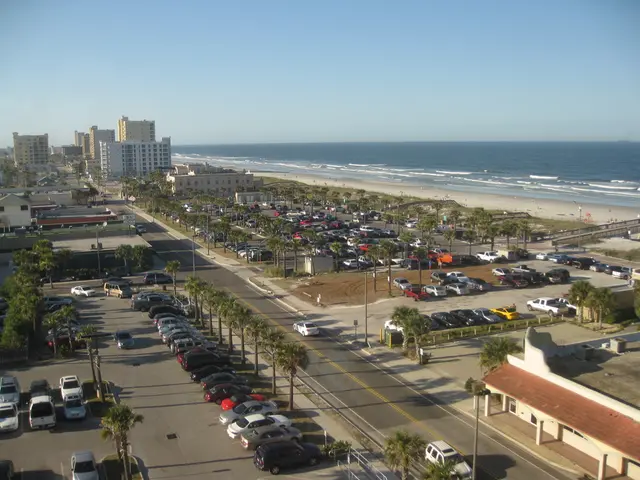 The Kelp Forest Foundation's Strategies for Nurturing Ocean Guardians of Future Generations