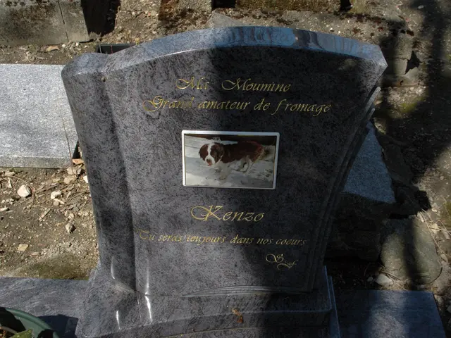 Distressed Teen, Achieving a Remarkable 92% in Class 10, Takes His Own Life After Dreaming about...