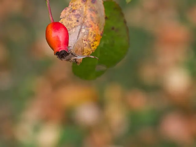 In the reworded verse, you are metaphorically ensnared, moving backward amid a bright spotlight.