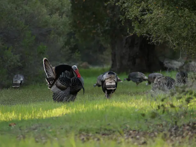 Global archaeology enthusiasts gather under the roof of Yunus Emre Institute for a scholarly tour