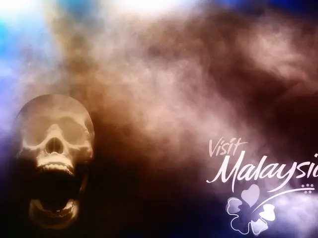 Primary School Fire Suspect Is a Nine-Year-Old Individual