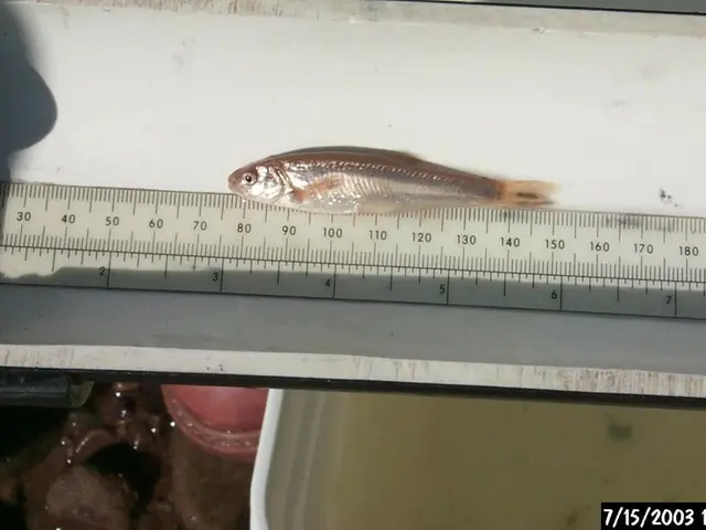 Effective Time Management Strategies for Daily Achievement and Efficiency