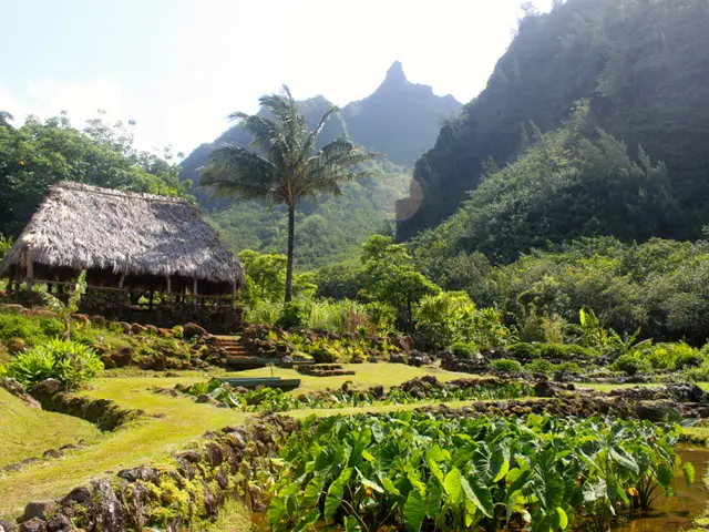 Frequencies, triggers, and additional information on HAE incidents