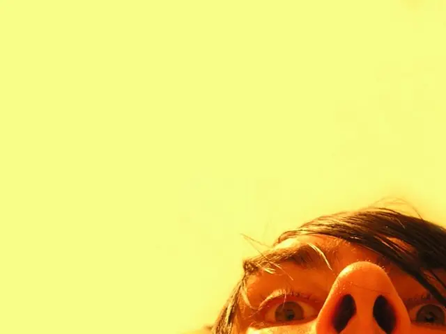 "Description of Noonan Syndrome" or "Explanation of Noonan Syndrome" or simply "Noonan Syndrome: An...