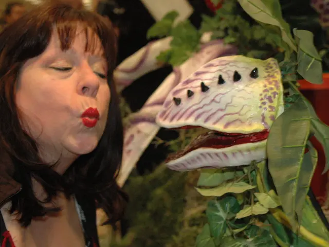 Overcoming Typical Barriers in Establishing New Habits