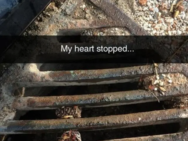 Medical graduate with a vision for international healthcare pursuits