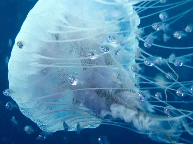 Benefits of Starting Summer Vacation Early or Late: An Exploration