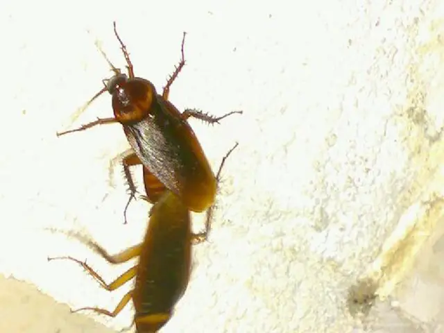 Prioritized Testing Approaches in Cybersecurity: Leading-Edge Strategies for Cybersecurity...