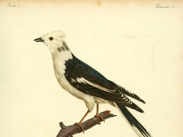 Journey of Pope Francis and Dorothy Day: A Journey Worthy of Emotion and Compassion