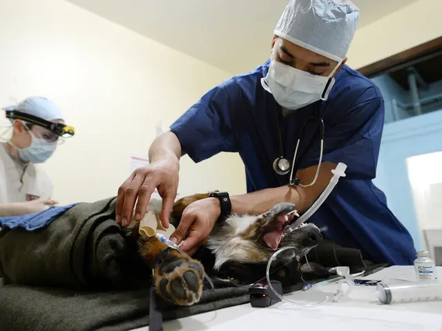 Quarantine and Isolation: Distinctions, Applications, and Further Information