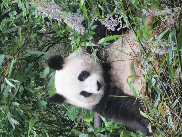 Strategies for Preparing Data for K-fold Cross-validation in Machine Learning