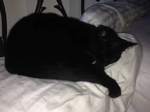 Image of the Assault Scene Symbolically Portrayed