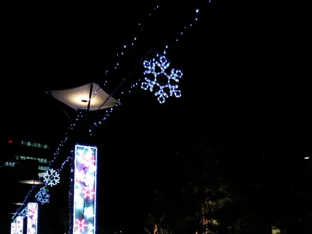 Electric Field Responsiveness of Gases: An Examination of Gas Behavior Under Electric Influence