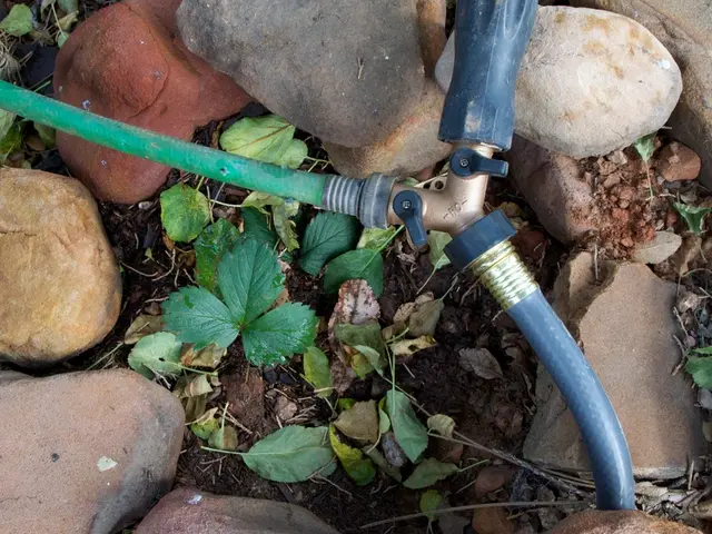 Enacting advancement in the production of crucial minerals necessitates action beyond an Executive...