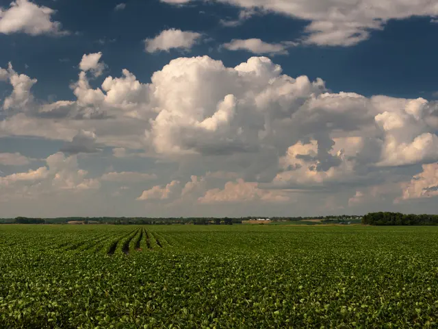 Enhancement of Mental Well-being through Parks