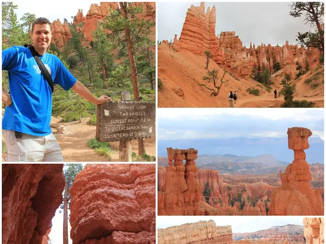 The Impact of Eclipse Artistry on Scientific Advancements