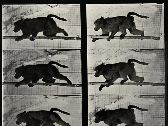 Ecology-focused lessons for junior school pupils in Kamchatka, made available at no cost, labeled...