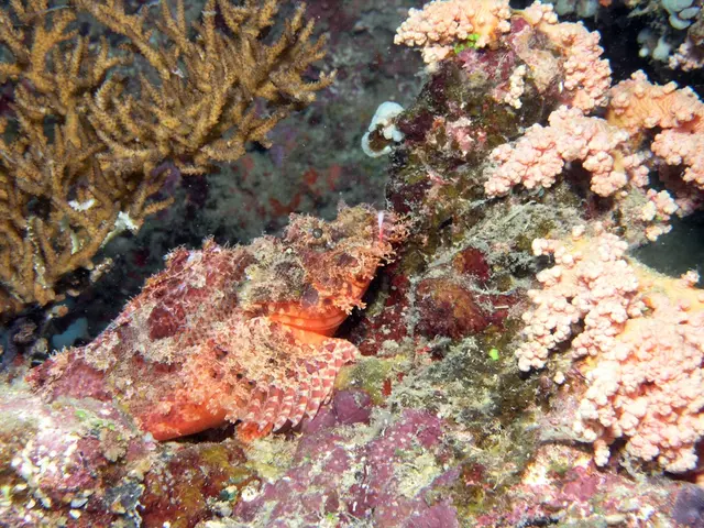 Death Announcement: Devendra Lal (1929-2012)