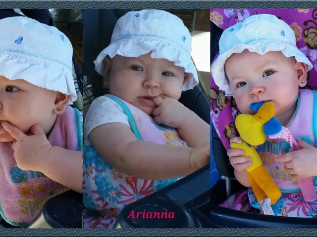 Uncovering doubts surrounding the procurement practices within the day care system