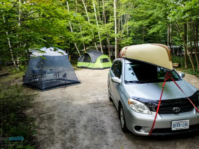 Changing Patterns in Math Concepts According to Nature's Seasonal Shifts