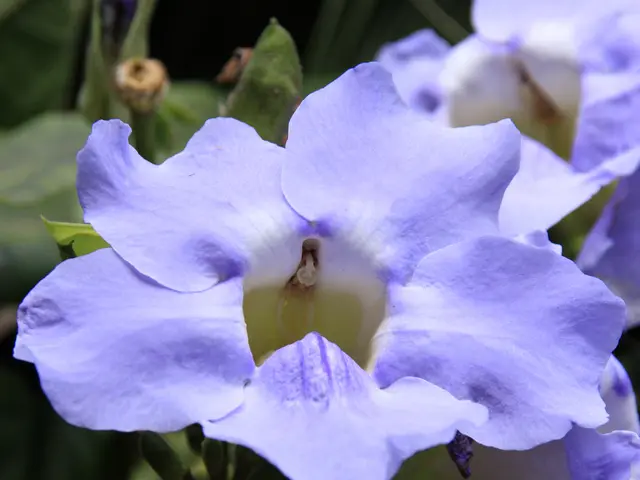 Daily Regimen Worth Shifting for an Entirely Different Day Experience