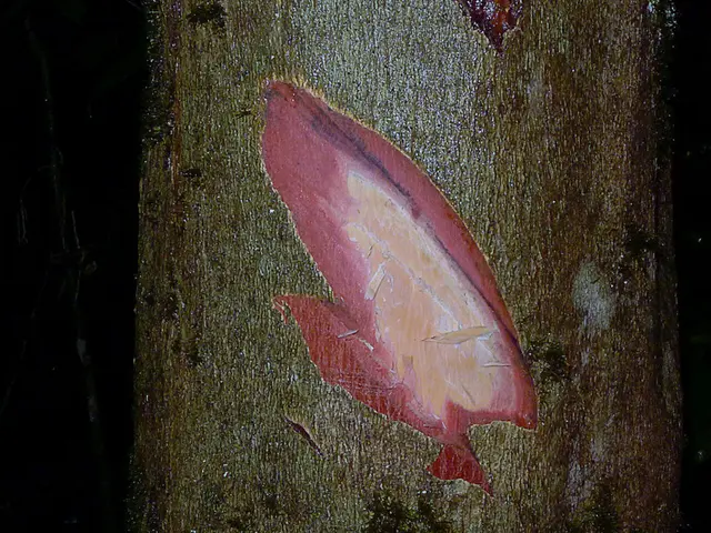 Frederick Weist: An Individual Identified by Name