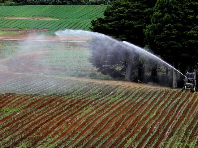 Shifting Economy Towards a Sustainable Permaculture Structure