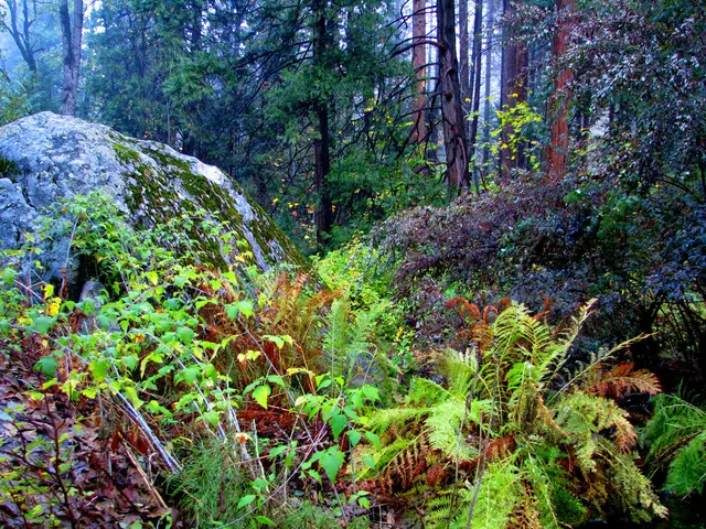 Thriving New Species Discovered in Cambodia's Endangered Karst Regions