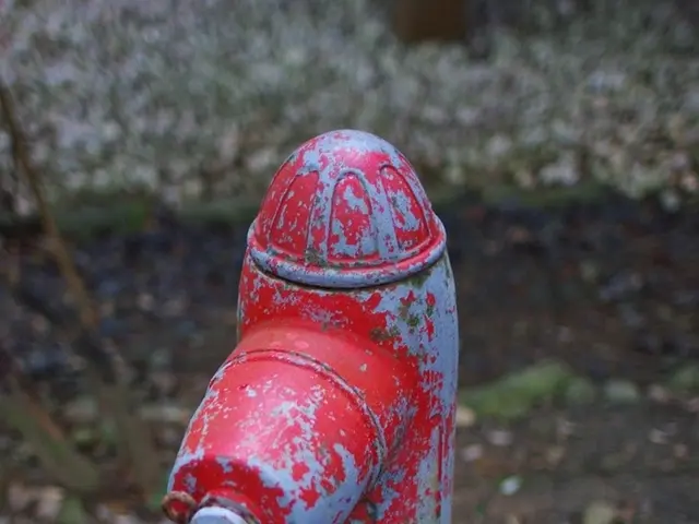 Data Scientist or Machine Learning Engineer Guide to Establishing Data Streams