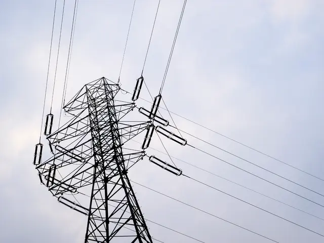 Starlink's Impact on Africa's Internet Economy