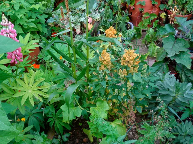 Garden-based Activities for Children: Captivating Pastimes to Instill Green Thumb Enthusiasm