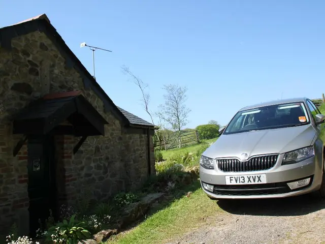 School Wellness: Bolstering Mental Health through Education