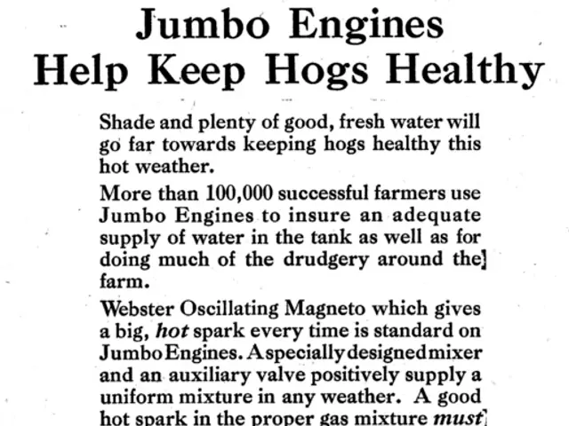 Instructions on Utilizing Gamma for Educational Purposes