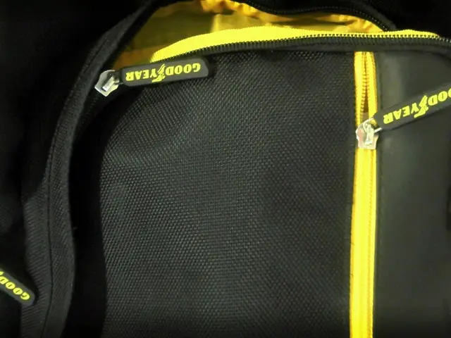 College students at Park University now have the opportunity to take a year off, with the...