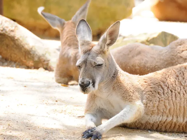 Examinda ainda aguardando pelo último exame.