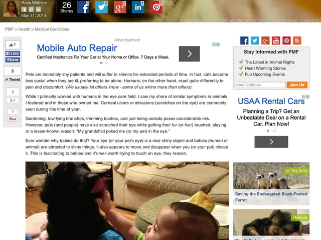 Interactive Education Sessions with Animal Themes