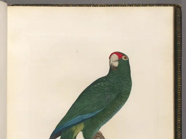 Essential Purchases Recommended for Greater Happiness, as Suggested by Warren Buffett